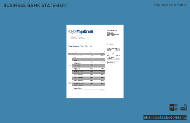 Yapi Kredi Bank Organisationskontoauszug Word- und PDF-Beispielvorschau